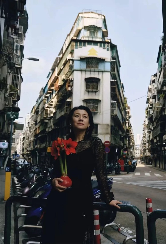 Tết n&agrave;y đừng chỉ chơi đ&agrave;o quất: Thử ngay lo&agrave;i hoa "hệ lười" kh&ocirc;ng cần tưới vẫn nở rực rỡ, t&ecirc;n gọi nghe th&ocirc;i đ&atilde; thấy tiền t&agrave;i tới tấp!- Ảnh 12.