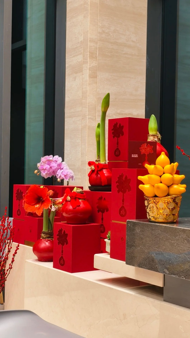 Tết n&agrave;y đừng chỉ chơi đ&agrave;o quất: Thử ngay lo&agrave;i hoa "hệ lười" kh&ocirc;ng cần tưới vẫn nở rực rỡ, t&ecirc;n gọi nghe th&ocirc;i đ&atilde; thấy tiền t&agrave;i tới tấp!- Ảnh 44.