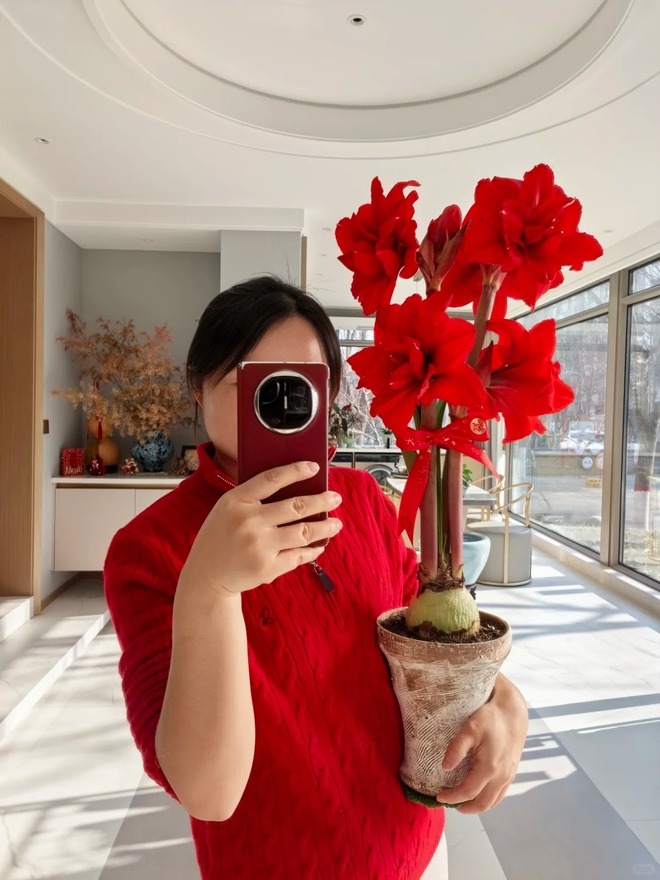 Tết n&agrave;y đừng chỉ chơi đ&agrave;o quất: Thử ngay lo&agrave;i hoa "hệ lười" kh&ocirc;ng cần tưới vẫn nở rực rỡ, t&ecirc;n gọi nghe th&ocirc;i đ&atilde; thấy tiền t&agrave;i tới tấp!- Ảnh 3.