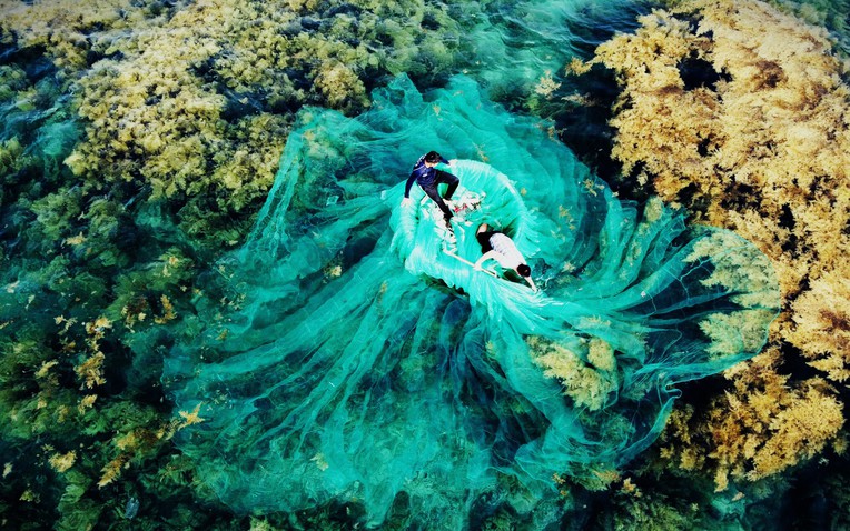 Việt Nam c&oacute; "mỏ v&agrave;ng dưới nước", mang về gần 900 triệu USD trong th&aacute;ng 1: Trung Quốc, Nhật Bản ồ ạt mua- Ảnh 1.