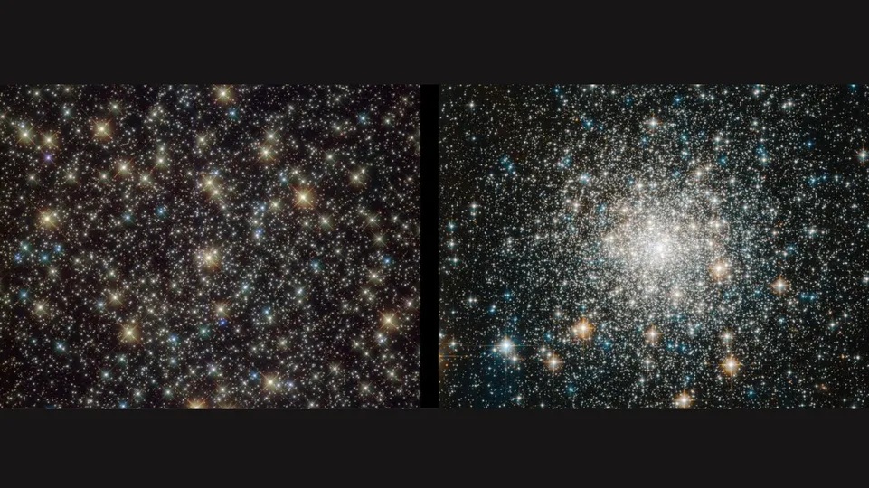 Ph&aacute;t hiện r&ugrave;ng m&igrave;nh về &ldquo;sinh vật bất tử&rdquo; của vũ trụ- Ảnh 1.