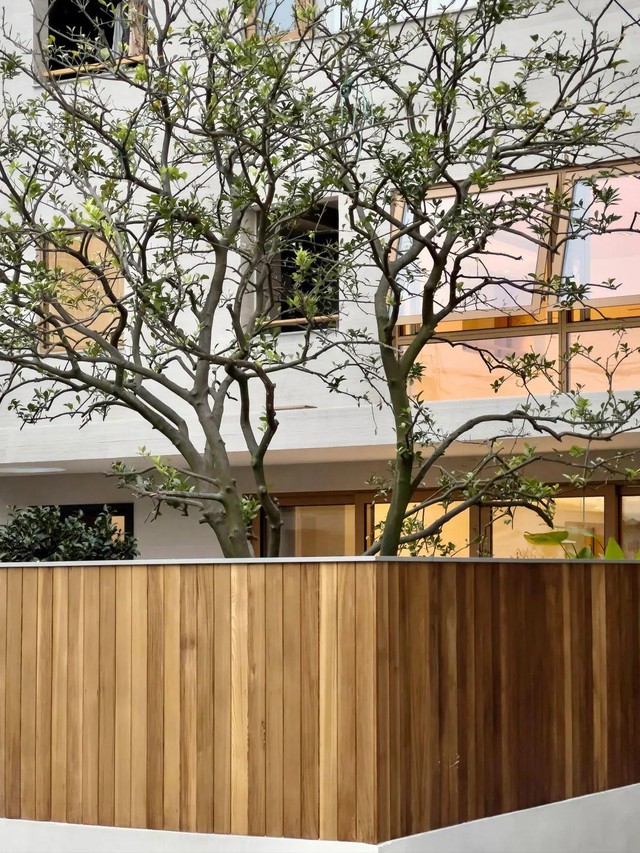 Không bán nhà chia đất, U65 tôi quyết cải tạo nhà tổ thành nơi 9 người cùng chung sống: “Tôi đã thay đổi suy nghĩ của tất cả”- Ảnh 4.