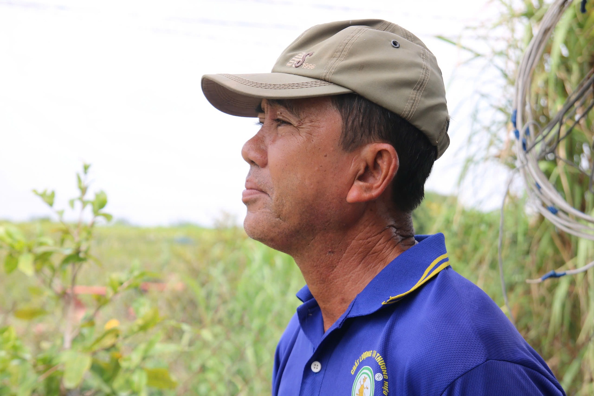 Bất ngờ với giống hoa Tết c&oacute; tới h&agrave;ng chục c&aacute;nh, được giới s&agrave;nh chơi đặc biệt săn đ&oacute;n- Ảnh 4.