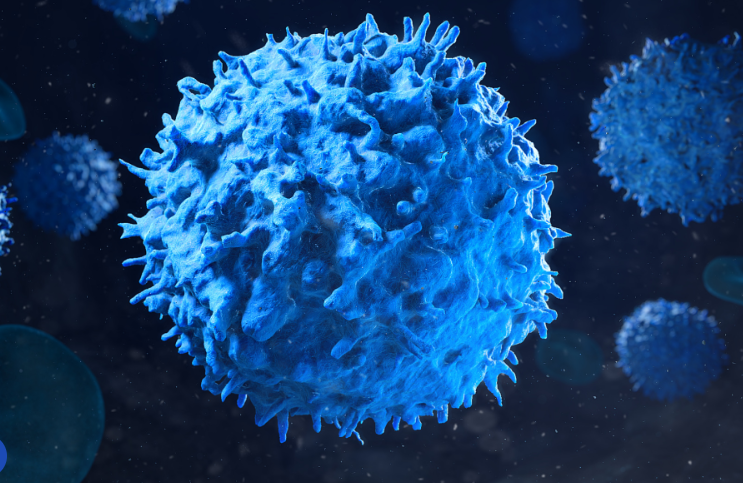 WHO: C&oacute; thể ph&ograve;ng ngừa 40% số ca ung thư tr&ecirc;n to&agrave;n cầu- Ảnh 2.