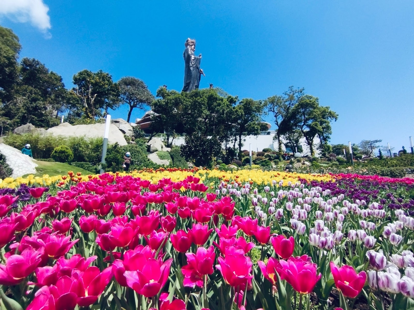 Cảnh tượng tại 