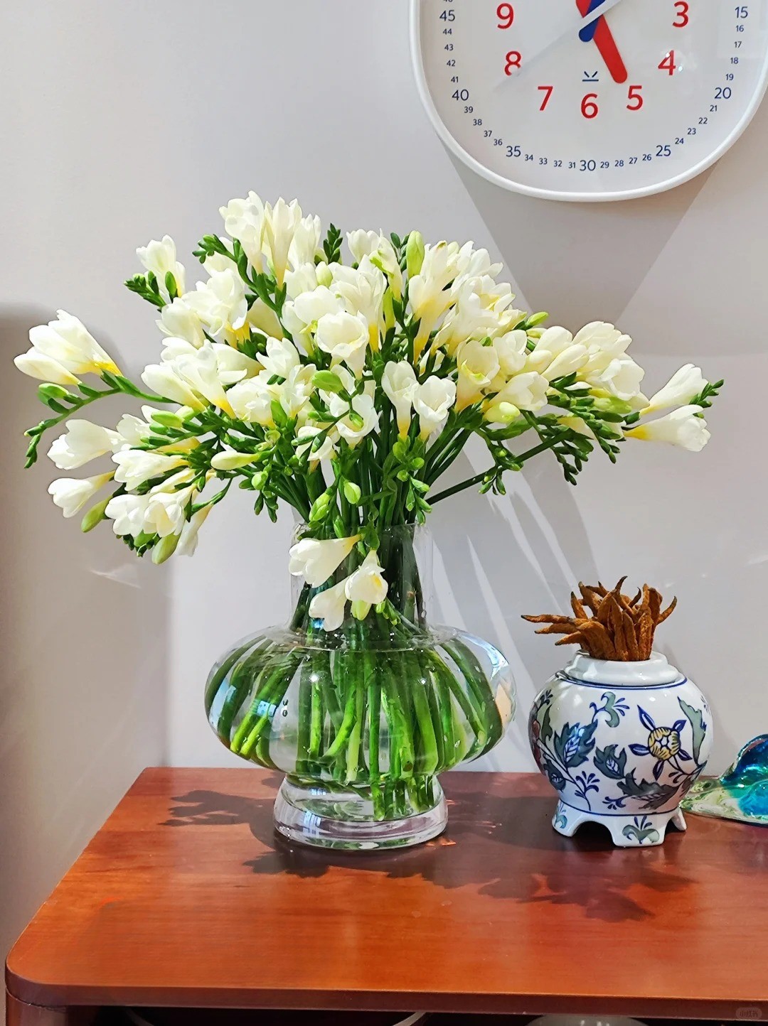 Chưng Tết đừng chỉ quanh quẩn đ&agrave;o với mai, thử rước ngay "n&agrave;ng thơ" lan Nam Phi về nh&agrave;: Vừa sang chảnh, thơm nức nở lại k&iacute;ch hoạt may mắn cho cả năm- Ảnh 14.