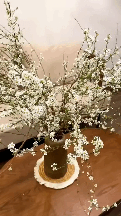 Tết kh&ocirc;ng chưng 5 hoa n&agrave;y cứ thấy thiếu thiếu: Đẹp g&igrave; m&agrave; đẹp hết phần lo&agrave;i kh&aacute;c, kh&ocirc;ng phải rượu m&agrave; lại thấy say- Ảnh 6.