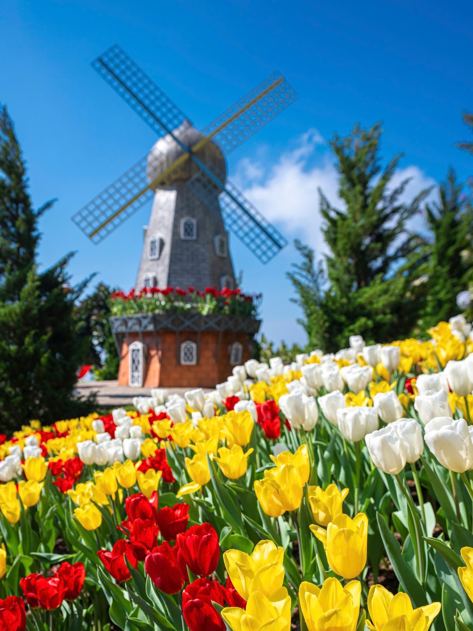 Cảnh tượng tại 