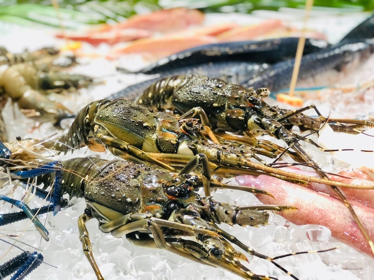 Một ng&agrave;nh h&agrave;ng của Việt Nam được cả thế giới săn đ&oacute;n - xuất khẩu đạt 874 triệu USD th&aacute;ng đầu năm, tăng trưởng 13%- Ảnh 2.