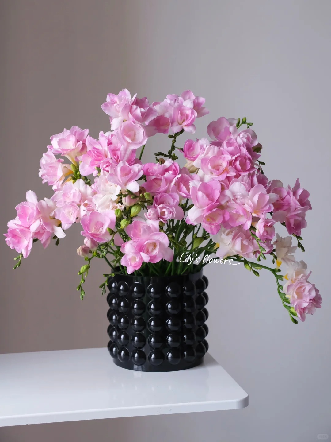 Chưng Tết đừng chỉ quanh quẩn đ&agrave;o với mai, thử rước ngay "n&agrave;ng thơ" lan Nam Phi về nh&agrave;: Vừa sang chảnh, thơm nức nở lại k&iacute;ch hoạt may mắn cho cả năm- Ảnh 18.