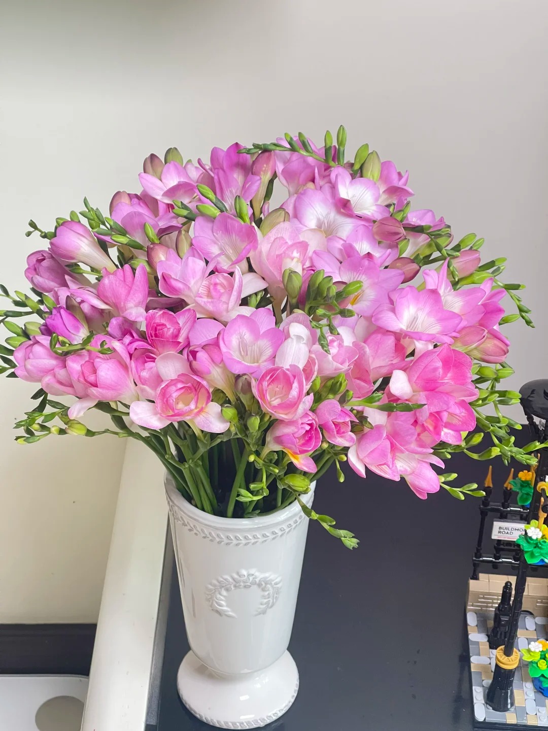 Chưng Tết đừng chỉ quanh quẩn đ&agrave;o với mai, thử rước ngay "n&agrave;ng thơ" lan Nam Phi về nh&agrave;: Vừa sang chảnh, thơm nức nở lại k&iacute;ch hoạt may mắn cho cả năm- Ảnh 3.