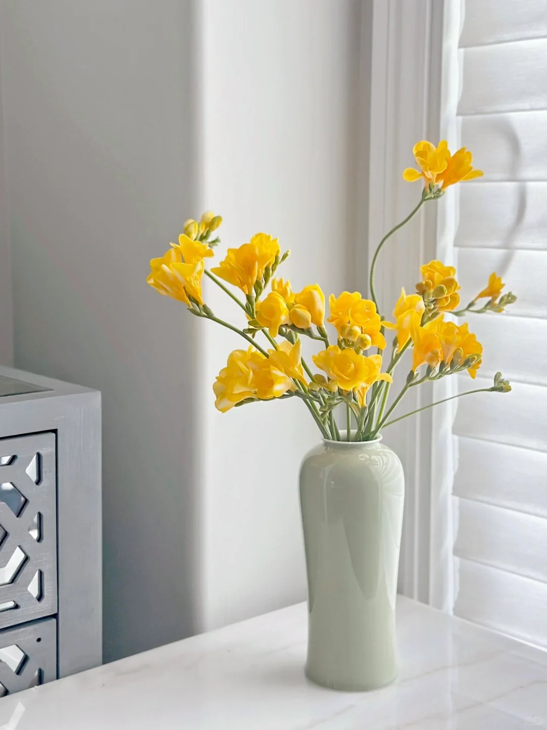 Chưng Tết đừng chỉ quanh quẩn đ&agrave;o với mai, thử rước ngay "n&agrave;ng thơ" lan Nam Phi về nh&agrave;: Vừa sang chảnh, thơm nức nở lại k&iacute;ch hoạt may mắn cho cả năm- Ảnh 19.