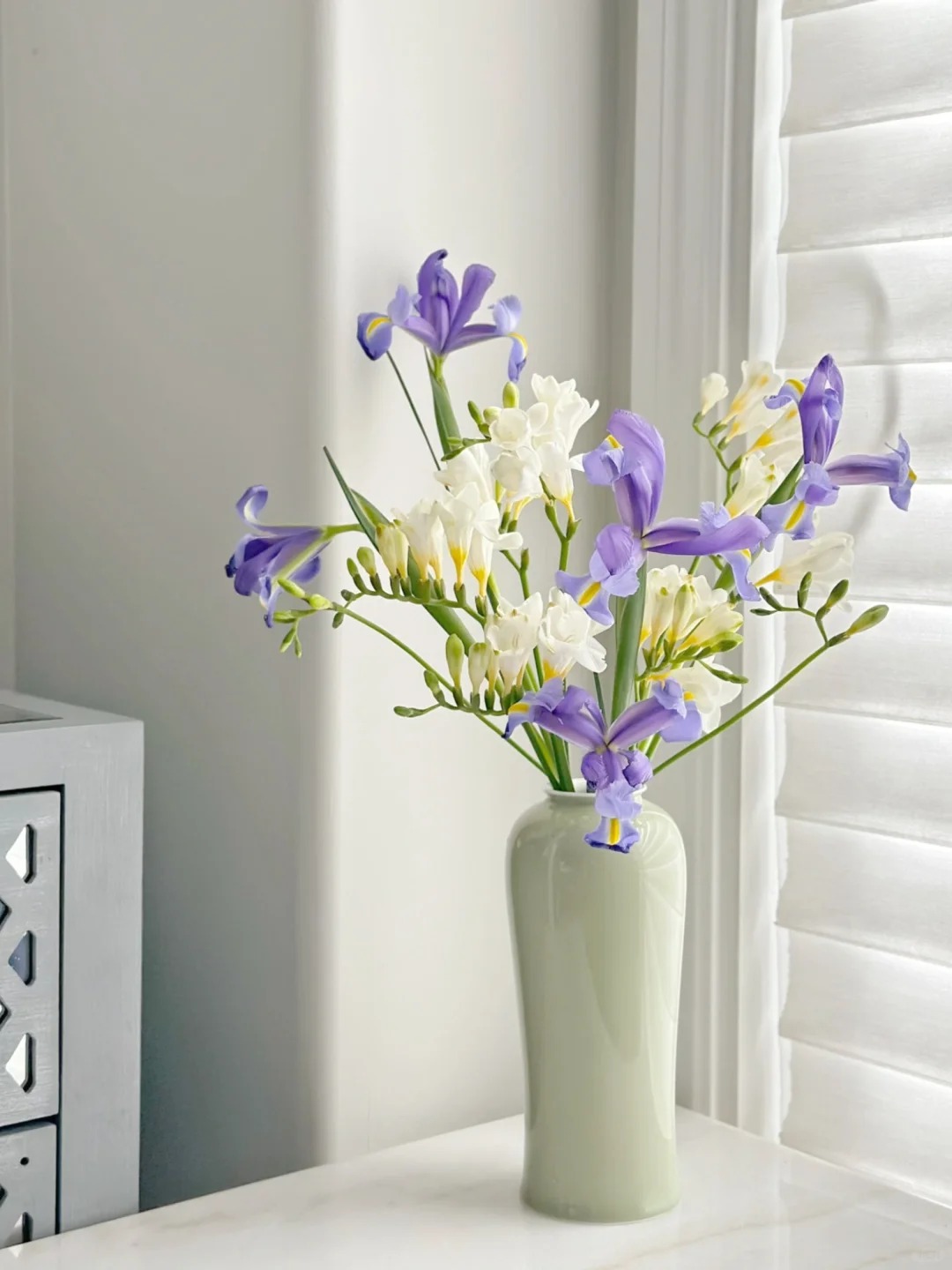 Chưng Tết đừng chỉ quanh quẩn đ&agrave;o với mai, thử rước ngay "n&agrave;ng thơ" lan Nam Phi về nh&agrave;: Vừa sang chảnh, thơm nức nở lại k&iacute;ch hoạt may mắn cho cả năm- Ảnh 4.