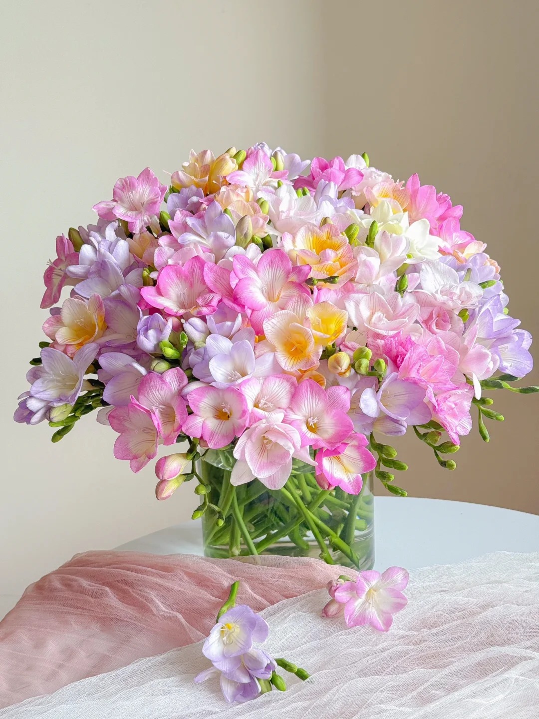 Chưng Tết đừng chỉ quanh quẩn đ&agrave;o với mai, thử rước ngay "n&agrave;ng thơ" lan Nam Phi về nh&agrave;: Vừa sang chảnh, thơm nức nở lại k&iacute;ch hoạt may mắn cho cả năm- Ảnh 7.