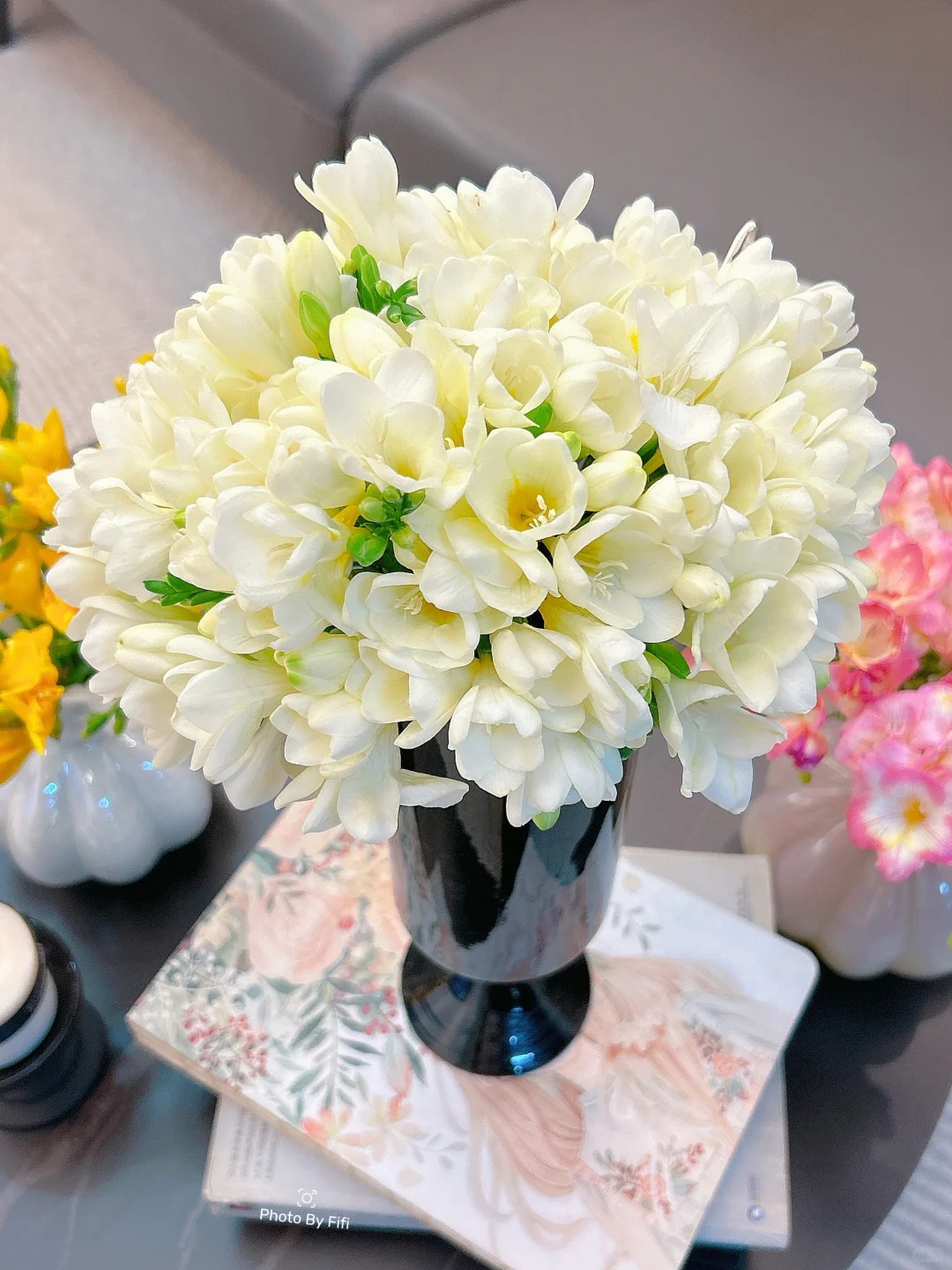 Chưng Tết đừng chỉ quanh quẩn đ&agrave;o với mai, thử rước ngay "n&agrave;ng thơ" lan Nam Phi về nh&agrave;: Vừa sang chảnh, thơm nức nở lại k&iacute;ch hoạt may mắn cho cả năm- Ảnh 17.