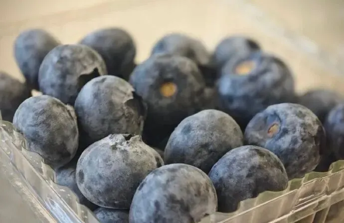 5 loại vi&ecirc;m tưởng nhẹ  thực chất l&agrave; "chu&ocirc;ng b&aacute;o ung thư": C&agrave;ng dập sớm, rủi ro c&agrave;ng thấp- Ảnh 3.