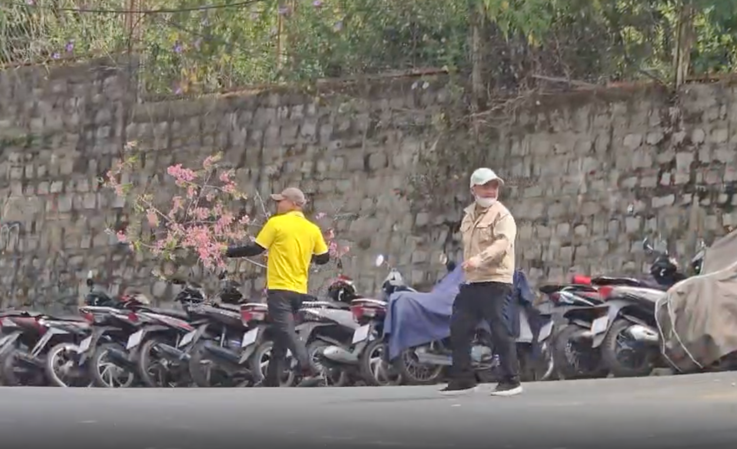 C&ocirc;ng an l&agrave;m việc với người chặt c&agrave;nh hoa mai anh đ&agrave;o ở Đ&agrave; Lạt- Ảnh 1.