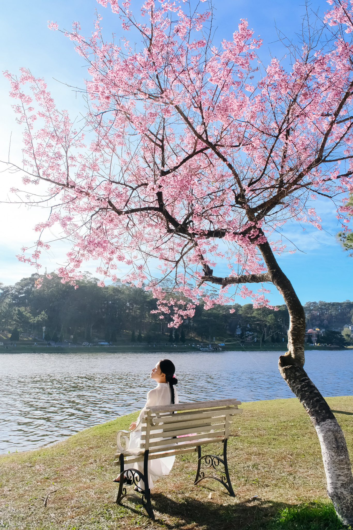 Cảnh tượng chưa từng thấy tại Đ&agrave; Lạt- Ảnh 4.