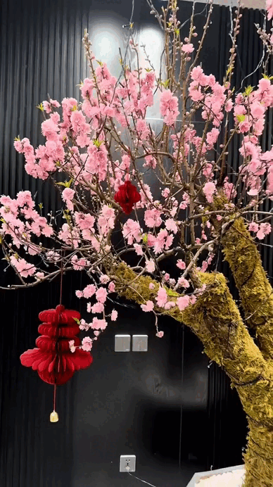 Tết kh&ocirc;ng chưng 5 hoa n&agrave;y cứ thấy thiếu thiếu: Đẹp g&igrave; m&agrave; đẹp hết phần lo&agrave;i kh&aacute;c, kh&ocirc;ng phải rượu m&agrave; lại thấy say- Ảnh 1.