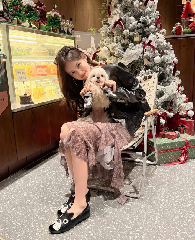 Lý Nhất Đồng cố tình làm bản sao Triệu Lộ Tư- Ảnh 23.