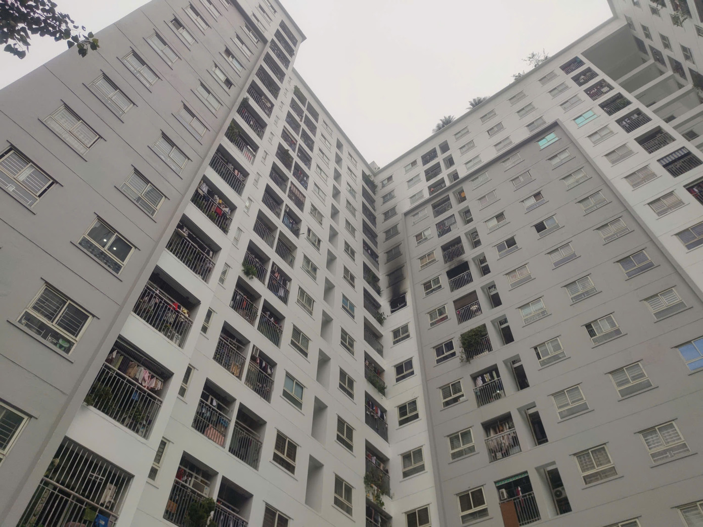 Ch&aacute;y tại tầng 9 t&ograve;a chung cư ở H&agrave; Nội- Ảnh 1.