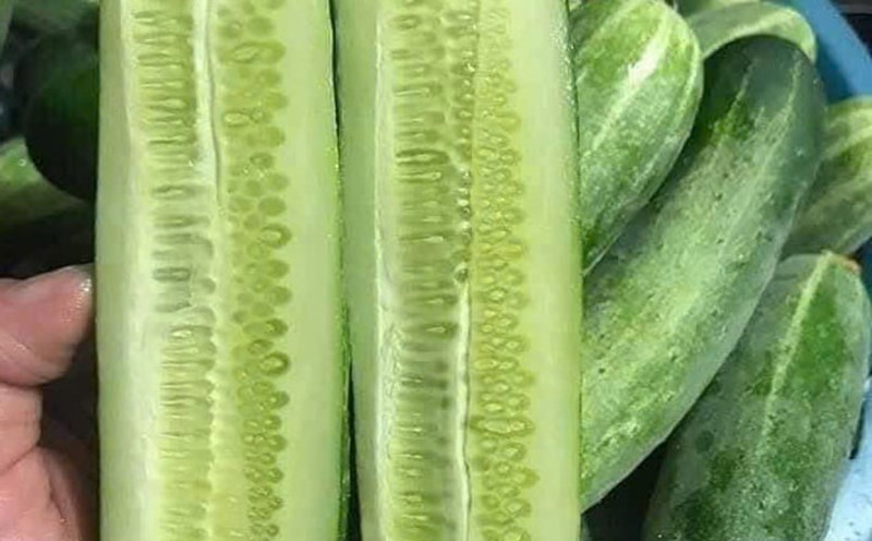 5 loại rau quả rất tốt cho thận, b&aacute;c sĩ khuy&ecirc;n n&ecirc;n ăn thường xuy&ecirc;n- Ảnh 2.