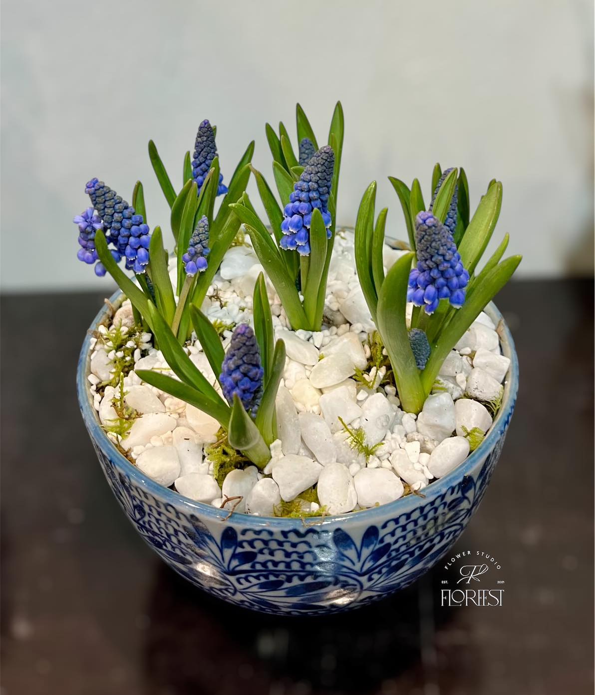 Lo&agrave;i hoa đang được chị em H&agrave; Nội săn l&ugrave;ng dịp Tết: Gi&aacute; chỉ bằng b&aacute;t phở m&agrave; sang chảnh như trời T&acirc;y, đặt đ&acirc;u cũng thấy lộc về- Ảnh 3.