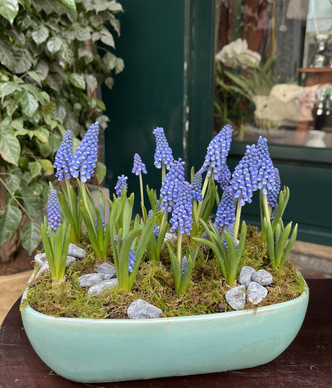 Lo&agrave;i hoa đang được chị em H&agrave; Nội săn l&ugrave;ng dịp Tết: Gi&aacute; chỉ bằng b&aacute;t phở m&agrave; sang chảnh như trời T&acirc;y, đặt đ&acirc;u cũng thấy lộc về- Ảnh 4.