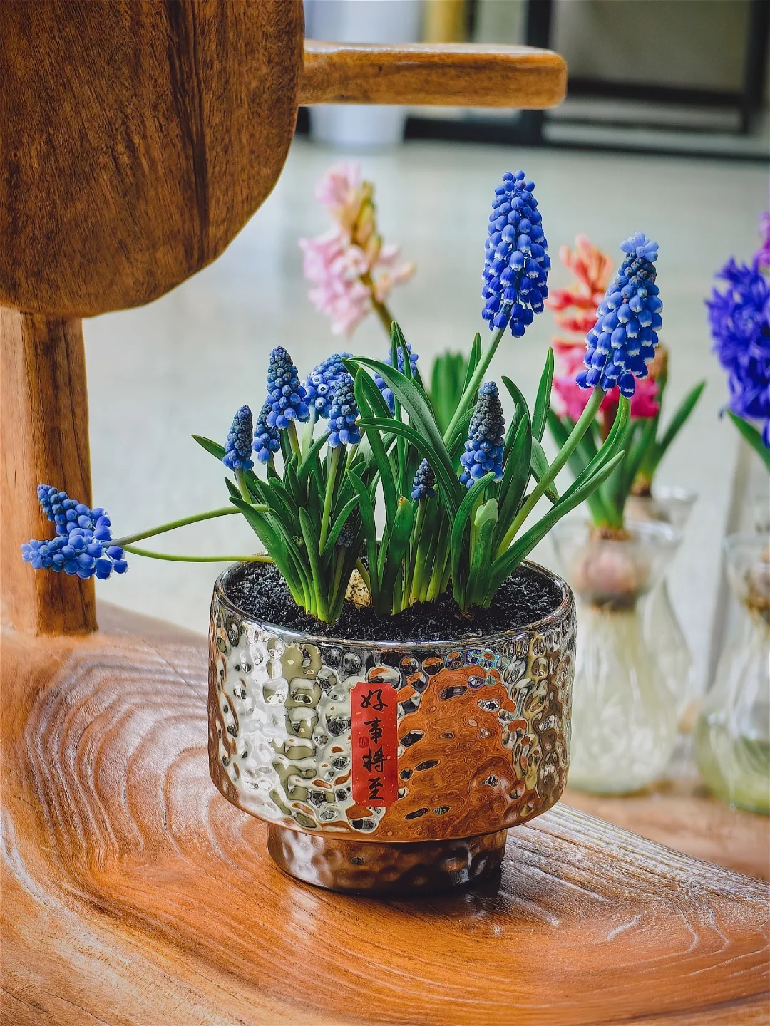 Lo&agrave;i hoa đang được chị em H&agrave; Nội săn l&ugrave;ng dịp Tết: Gi&aacute; chỉ bằng b&aacute;t phở m&agrave; sang chảnh như trời T&acirc;y, đặt đ&acirc;u cũng thấy lộc về- Ảnh 17.