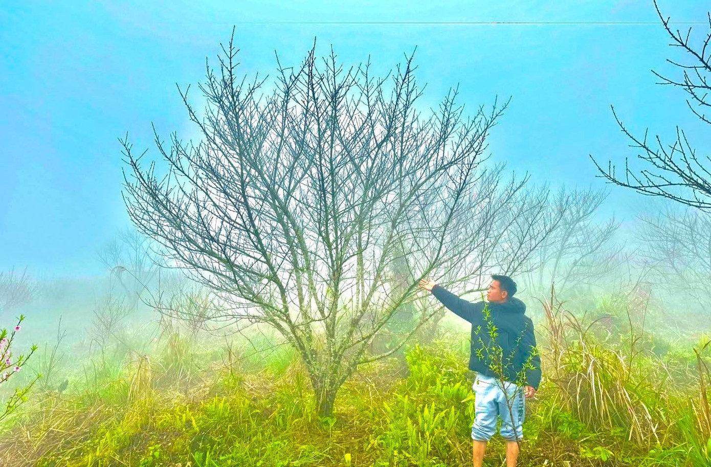 Đổ x&ocirc; l&ecirc;n n&uacute;i săn đ&agrave;o đ&aacute; về b&aacute;n Tết- Ảnh 13.