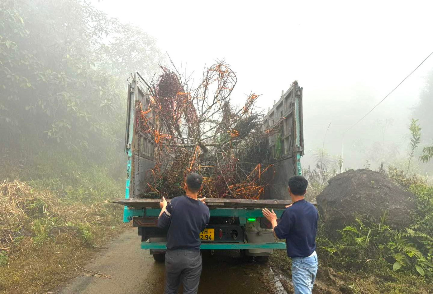 Đổ x&ocirc; l&ecirc;n n&uacute;i săn đ&agrave;o đ&aacute; về b&aacute;n Tết- Ảnh 7.