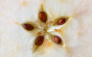 3 loại quả "đại bổ" cho gan, nhất c&aacute;i số 1 m&ugrave;a n&agrave;y ở Việt Nam rất nhiều- Ảnh 4.