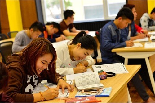 Một ngoại ngữ sắp được giảng dạy ở Việt Nam trong năm 2026, nghe tưởng quen m&agrave; lại rất &iacute;t người học- Ảnh 2.