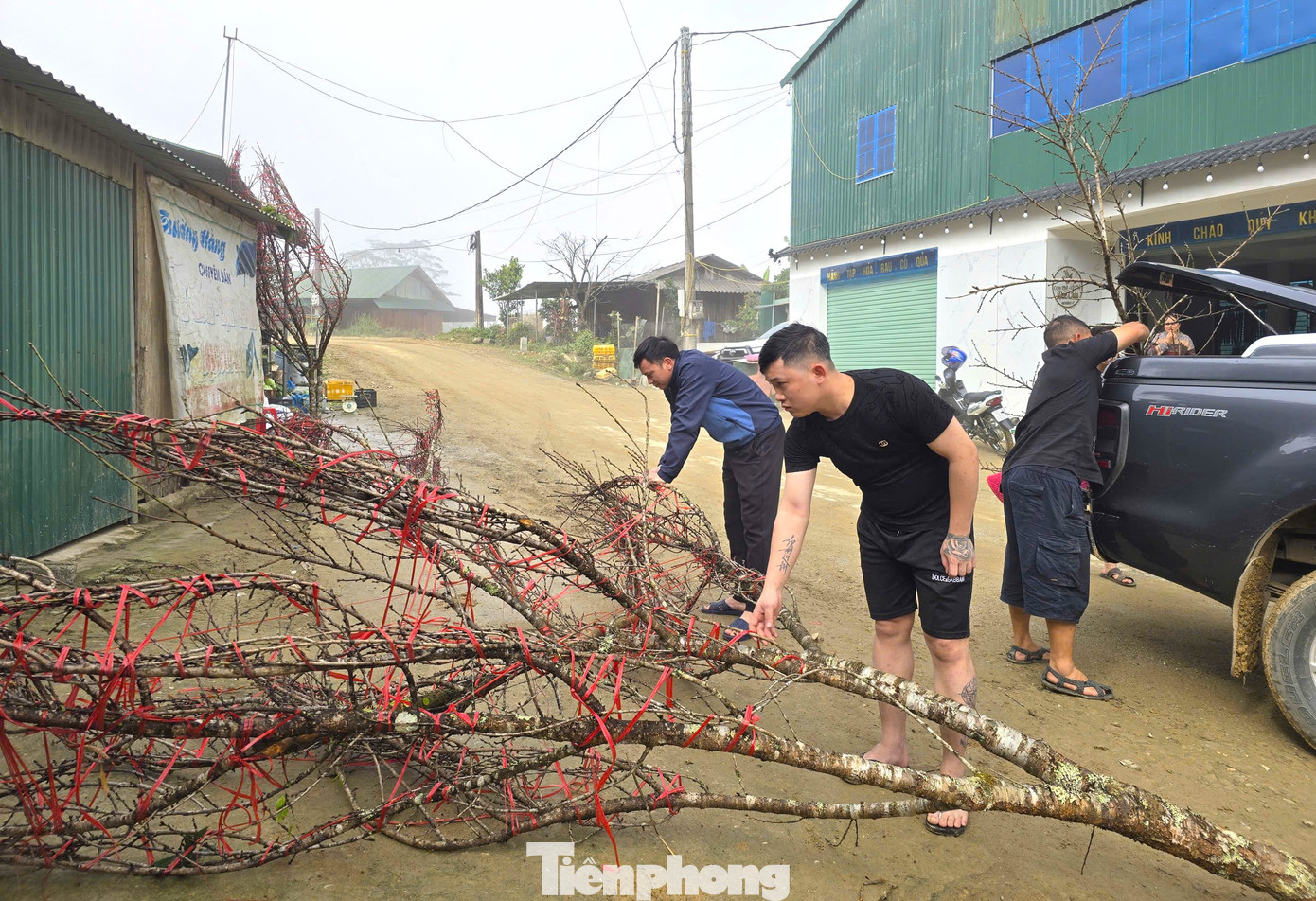 Đổ x&ocirc; l&ecirc;n n&uacute;i săn đ&agrave;o đ&aacute; về b&aacute;n Tết- Ảnh 9.