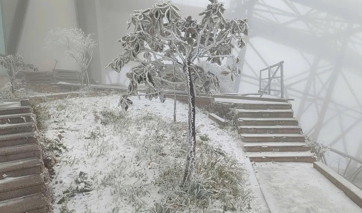 Chuy&ecirc;n gia chỉ nguy&ecirc;n nh&acirc;n cốt l&otilde;i khiến Sa Pa hầu như hết tuyết- Ảnh 2.