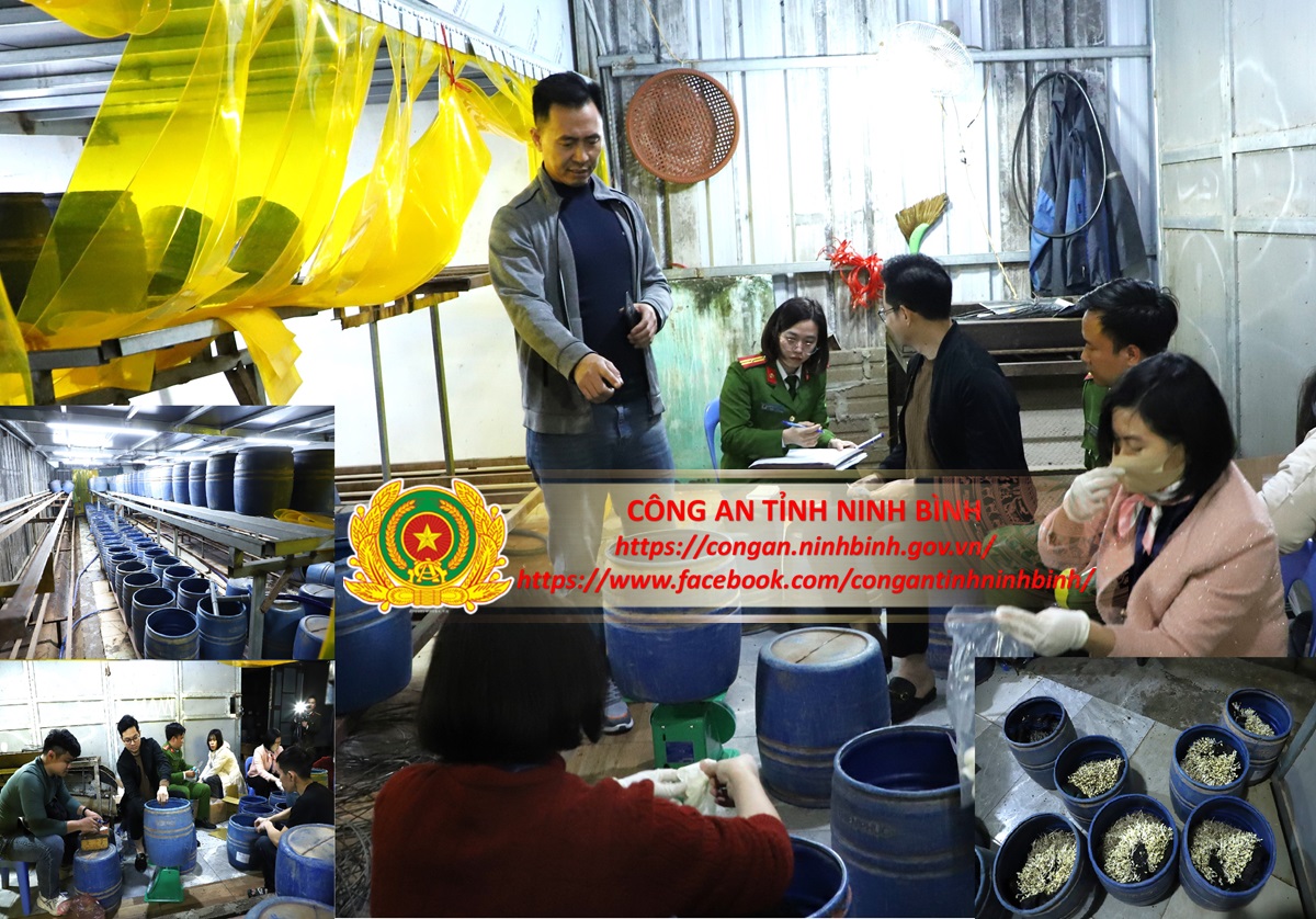 Ra lệnh bắt tạm giam chủ xưởng Trần Quốc Đại sinh năm 1998- Ảnh 1.