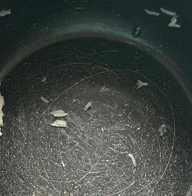 Cuối năm dọn nh&agrave;, c&oacute; 3 thứ đồ cũ, d&ugrave; ngh&egrave;o mấy cũng đừng giữ lại: Kh&ocirc;ng phải n&oacute;i cho vui, đ&oacute; l&agrave; kinh nghiệm xương m&aacute;u- Ảnh 3.