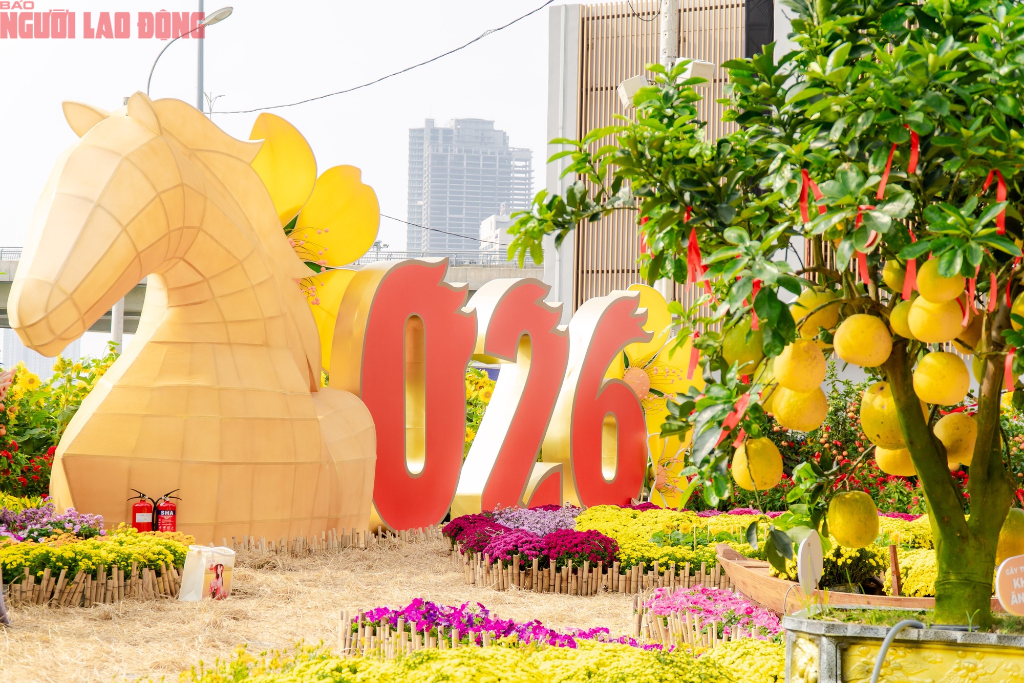 VIDEO: Những điểm "check-in" linh vật ngựa tại trung t&acirc;m TPHCM dịp Tết B&iacute;nh Ngọ- Ảnh 14.