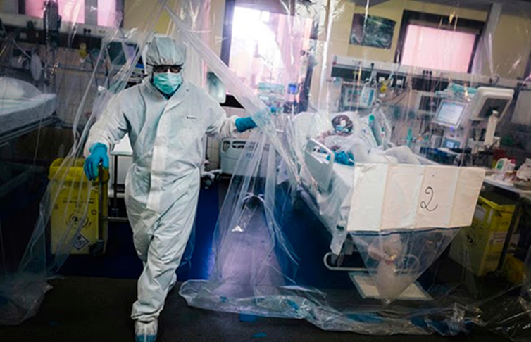 Sau Nipah, c&aacute;c chuy&ecirc;n gia lo ngại 2 loại virus đột biến mới c&oacute; 'tiềm năng g&acirc;y đại dịch', l&acirc;y từ động vật sang người- Ảnh 1.
