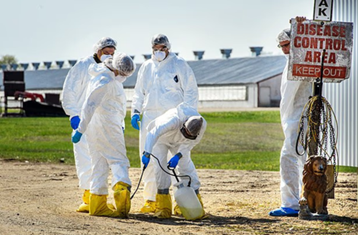Sau Nipah, c&aacute;c chuy&ecirc;n gia lo ngại 2 loại virus đột biến mới c&oacute; 'tiềm năng g&acirc;y đại dịch', l&acirc;y từ động vật sang người- Ảnh 4.