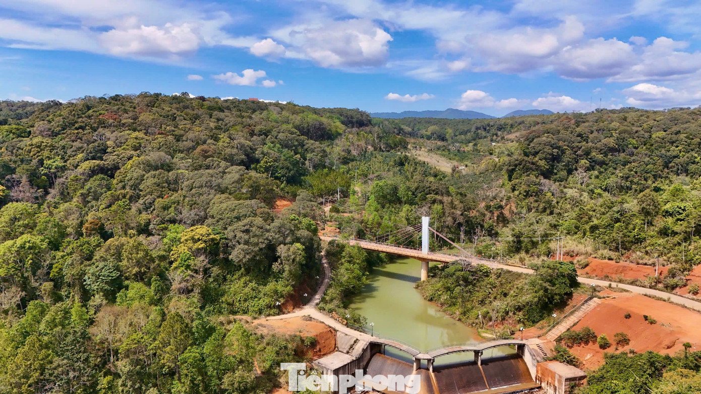 'Tuyệt đối điện ảnh' bằng lăng Măng Đen m&ugrave;a thay l&aacute;- Ảnh 13.