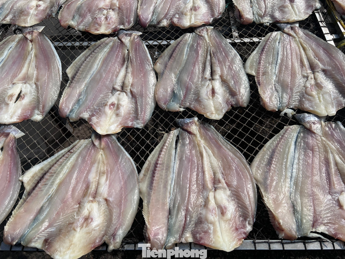 Săn c&aacute;, t&ocirc;m gi&aacute; 'rẻ kh&ocirc;ng tưởng' ở thủ phủ đồ kh&ocirc; S&agrave;i th&agrave;nh- Ảnh 12.