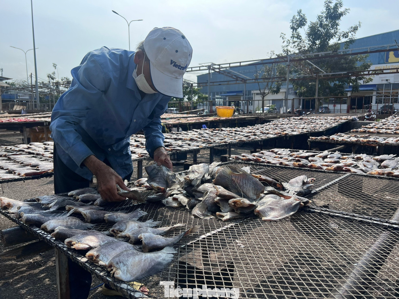 Săn c&aacute;, t&ocirc;m gi&aacute; 'rẻ kh&ocirc;ng tưởng' ở thủ phủ đồ kh&ocirc; S&agrave;i th&agrave;nh- Ảnh 11.