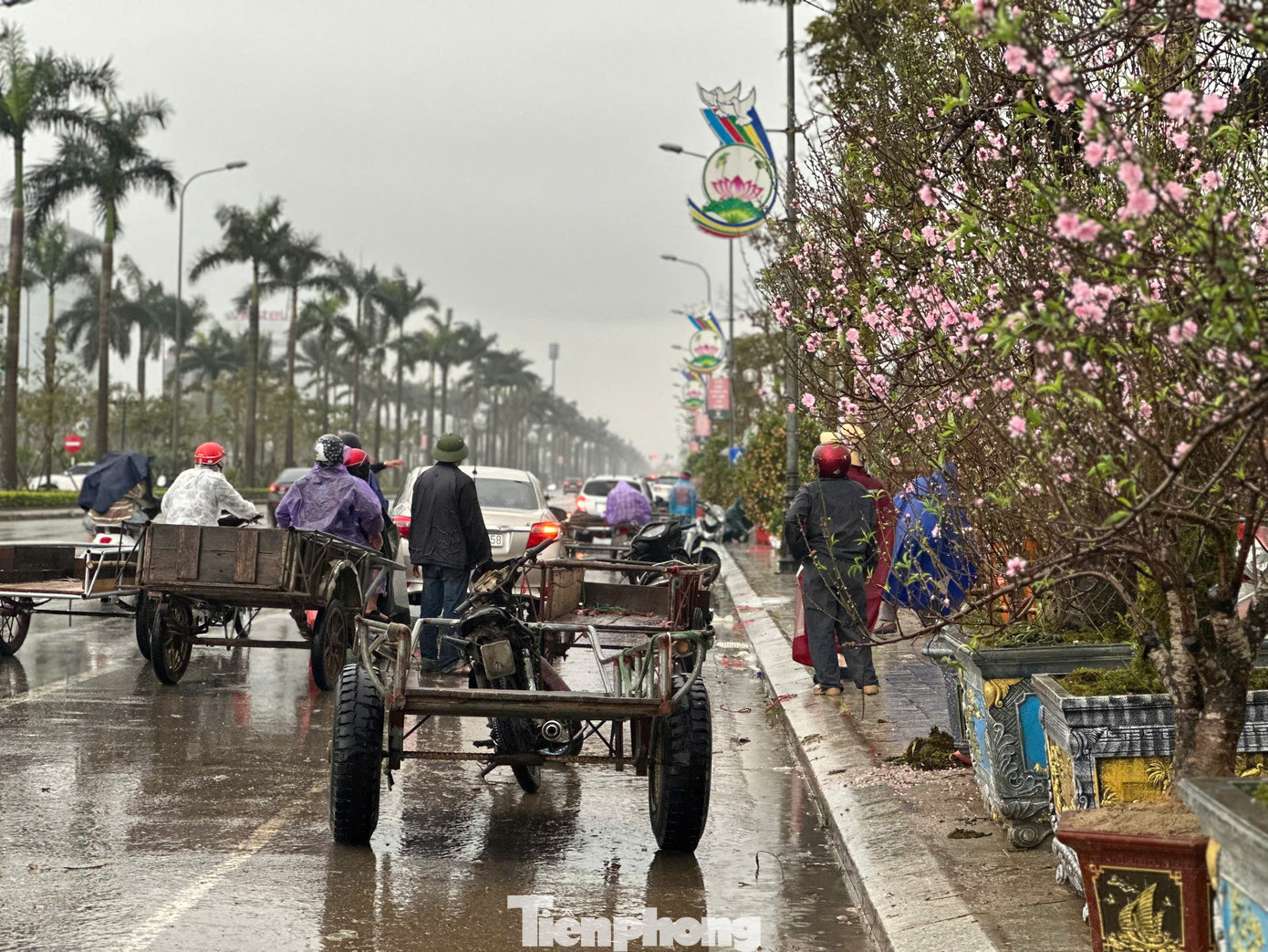 Mưa to gió lớn, hàng trăm gốc đào quất Tết đổ ngã la liệt ở Hà Tĩnh- Ảnh 10.