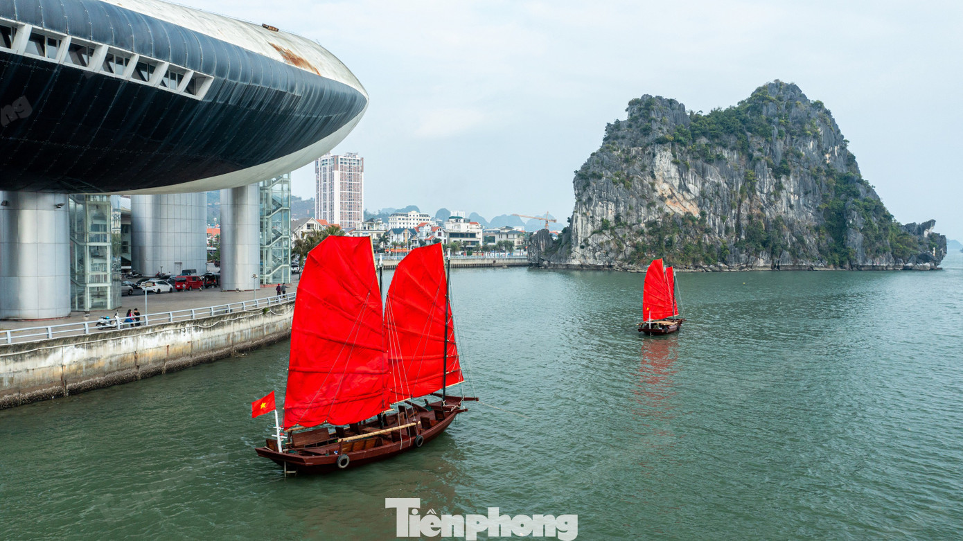 Xuất hiện thuyền ba v&aacute;ch độc đ&aacute;o tr&ecirc;n vịnh Hạ Long- Ảnh 4.