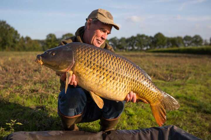 V&igrave; sao người Mỹ kh&ocirc;ng chuộng ăn c&aacute; ch&eacute;p?- Ảnh 1.