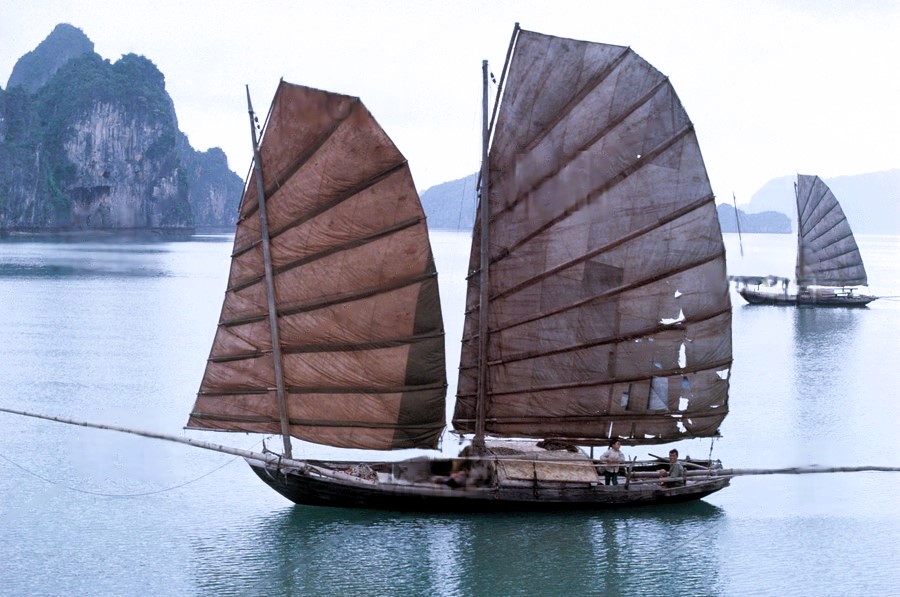 Cảnh tượng ngay l&uacute;c n&agrave;y tr&ecirc;n vịnh Hạ Long: Sau gần 30 năm mới thấy lại, nhiều người kh&ocirc;ng tin v&agrave;o mắt m&igrave;nh- Ảnh 3.