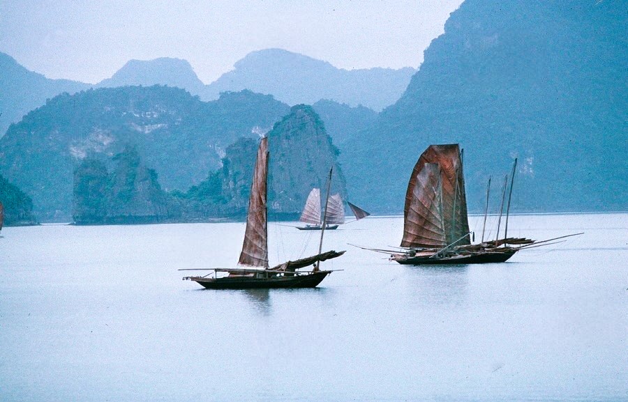 Cảnh tượng ngay l&uacute;c n&agrave;y tr&ecirc;n vịnh Hạ Long: Sau gần 30 năm mới thấy lại, nhiều người kh&ocirc;ng tin v&agrave;o mắt m&igrave;nh- Ảnh 4.