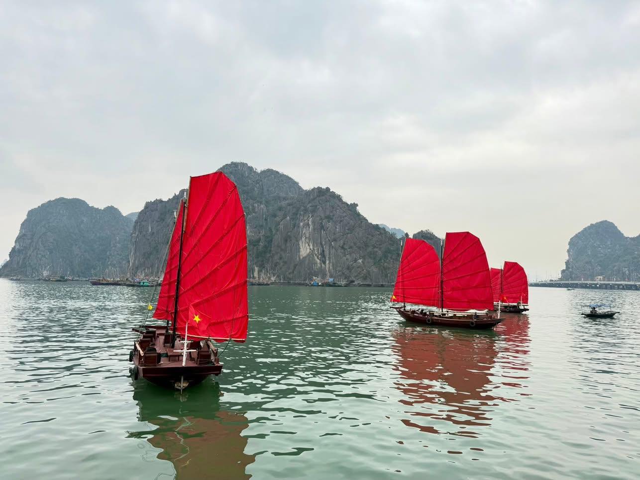 Cảnh tượng ngay l&uacute;c n&agrave;y tr&ecirc;n vịnh Hạ Long: Sau gần 30 năm mới thấy lại, nhiều người kh&ocirc;ng tin v&agrave;o mắt m&igrave;nh- Ảnh 1.