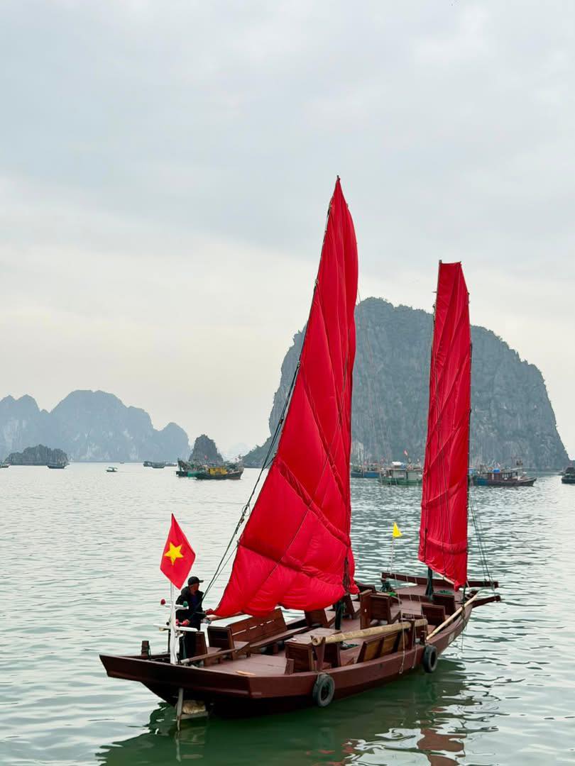 Cảnh tượng ngay l&uacute;c n&agrave;y tr&ecirc;n vịnh Hạ Long: Sau gần 30 năm mới thấy lại, nhiều người kh&ocirc;ng tin v&agrave;o mắt m&igrave;nh- Ảnh 2.